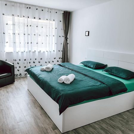 Cosy Apartment Făgăraş Εξωτερικό φωτογραφία